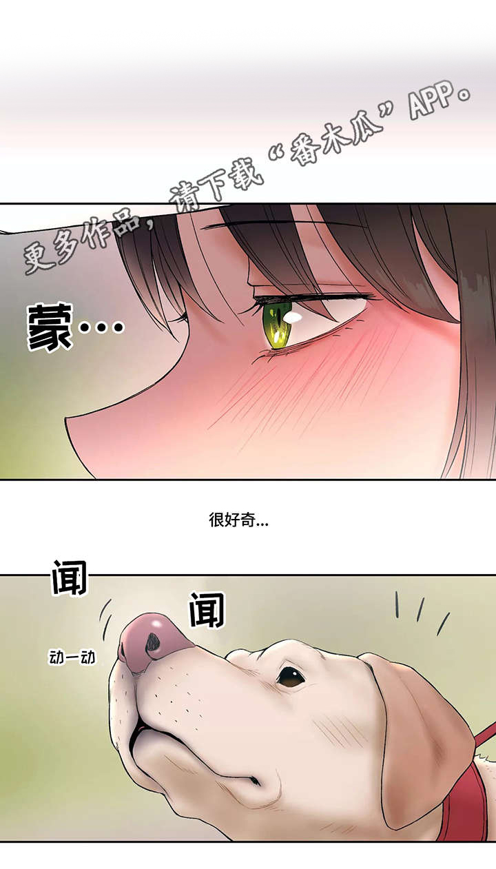 会员手游漫画,第17章：扑上来1图