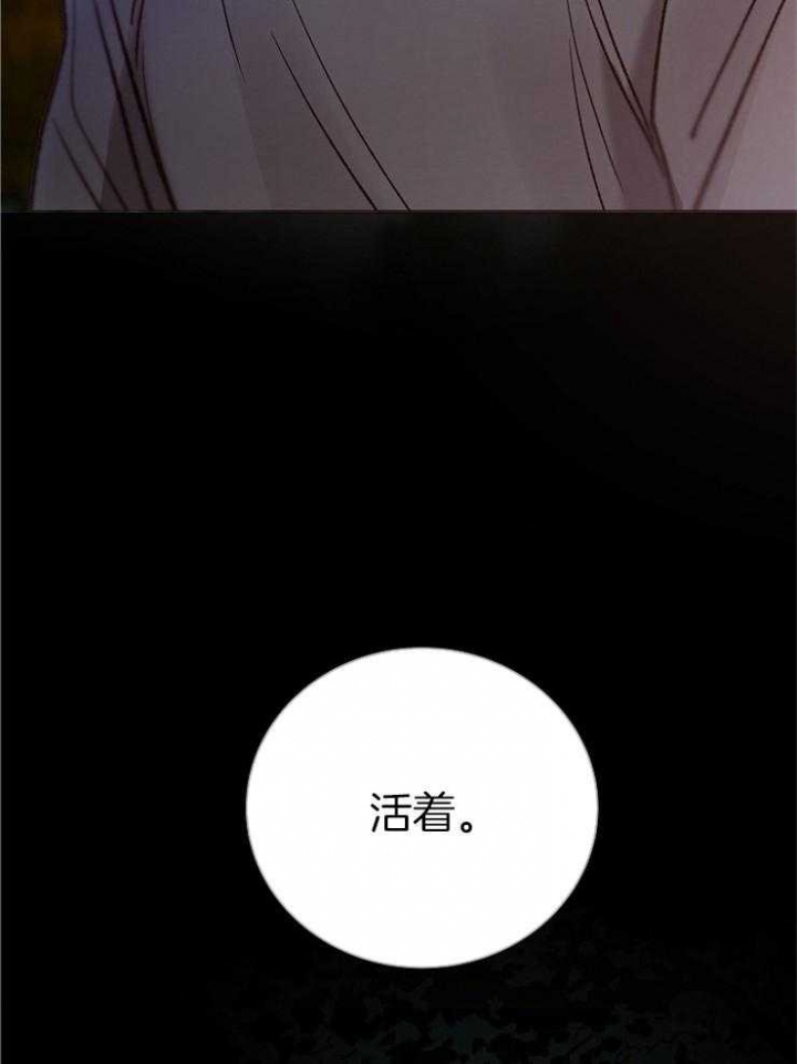 冷温棚草莓整箱批发漫画,第149话3图