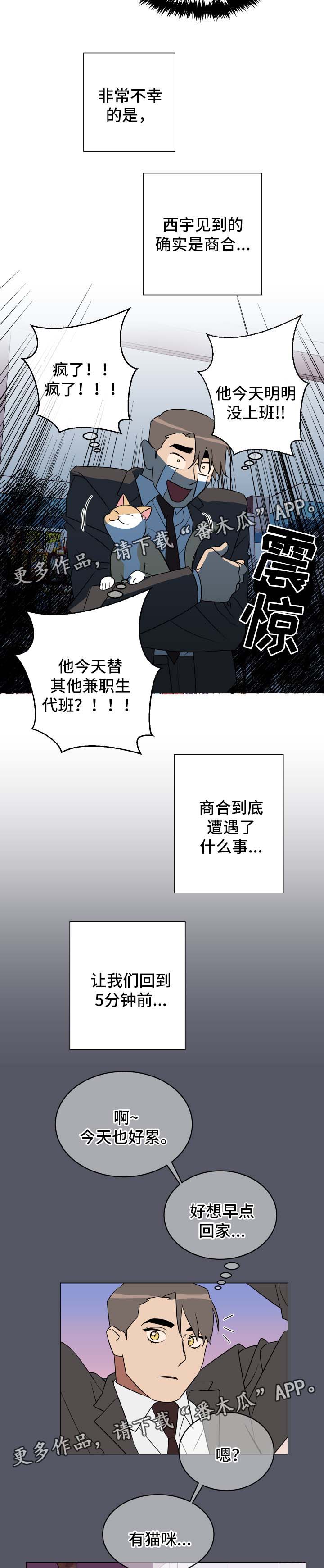 2020年策略游戏排行漫画,第30章：喂猫2图