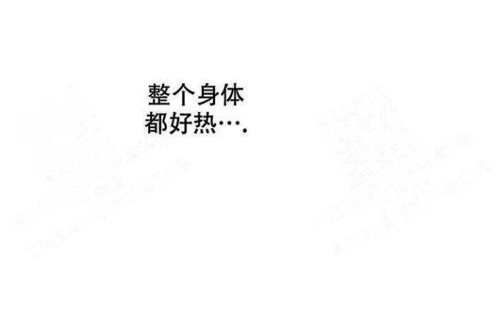 小野狗 幼崽漫画,第4话1图