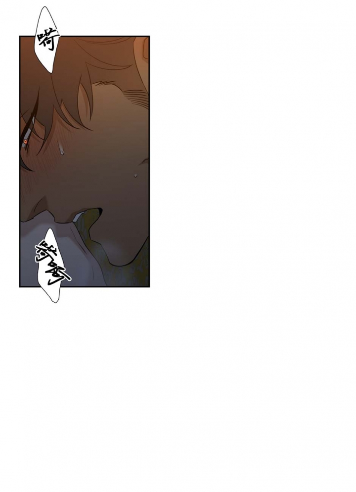 被驯服的虎免费全文漫画漫画,第66话3图