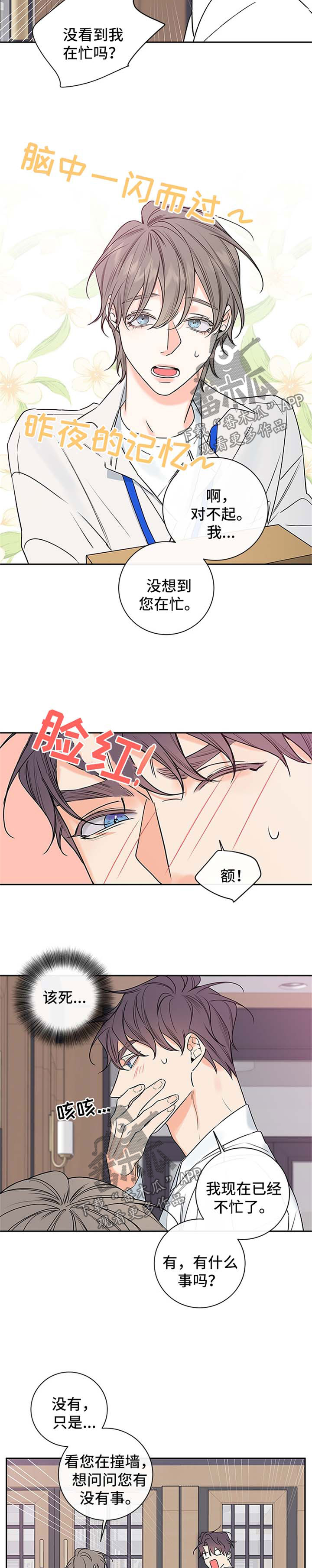 半血马价格咨询漫画,第85章：【番外篇】撞墙3图