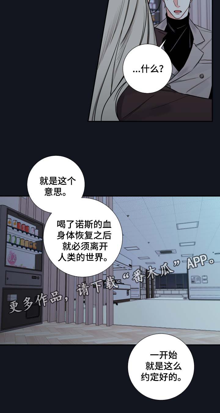 半血马价格咨询漫画,第46章：谈话3图