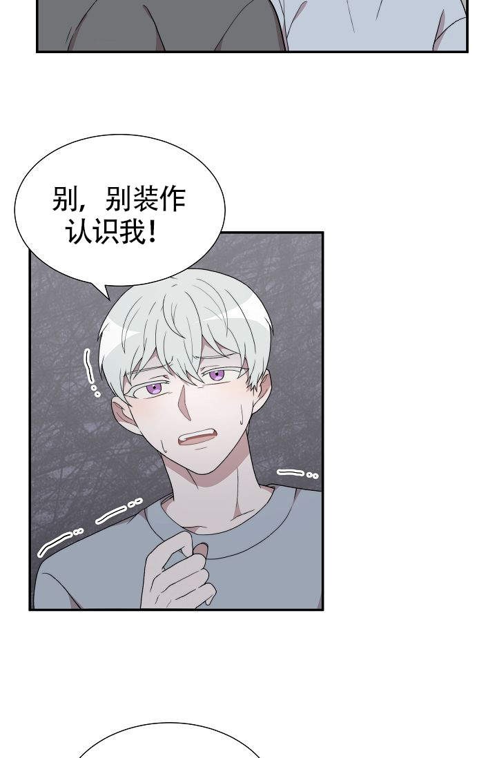 给你一个浪漫的梦漫画,第6话4图