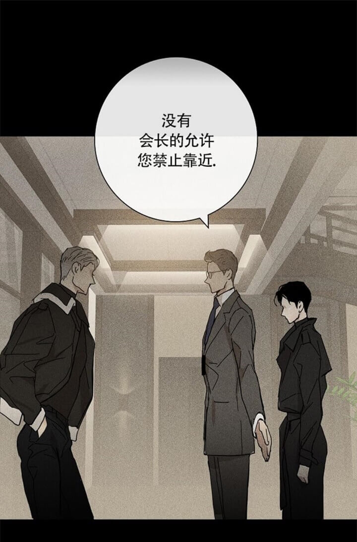 已婚男假扮苦情女骗走1800万漫画,第10话5图