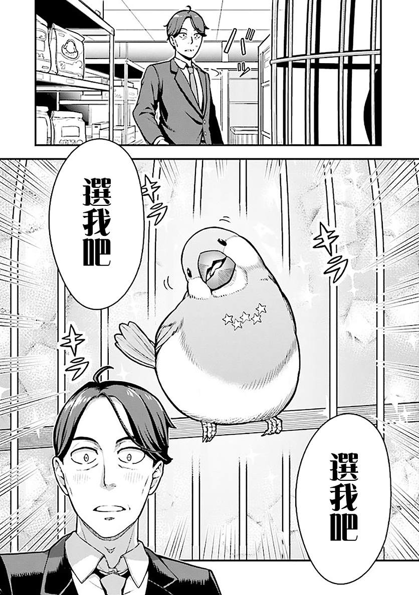 佐佐木与文鸟小哔大结局漫画,第1.1话4图