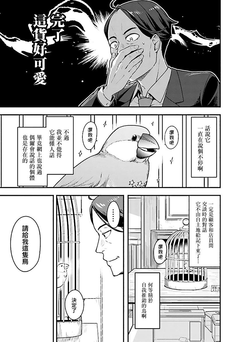 佐佐木与文鸟小哔大结局漫画,第1.1话5图