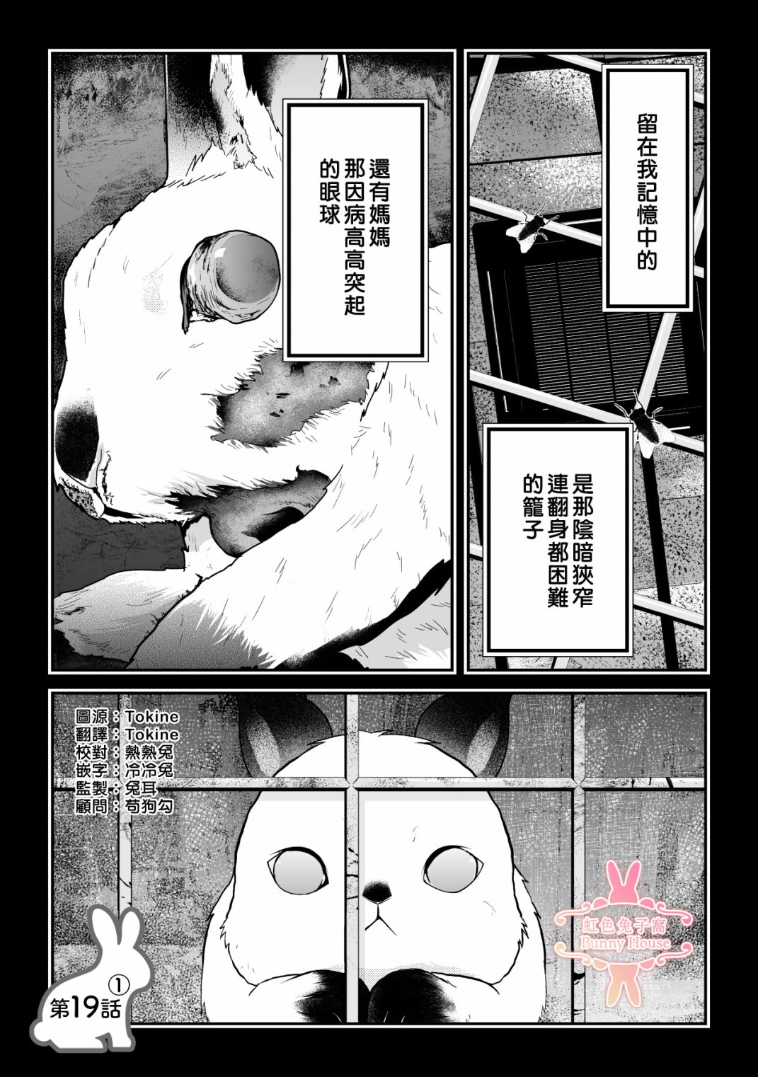 极极兔下载漫画,第19话1图