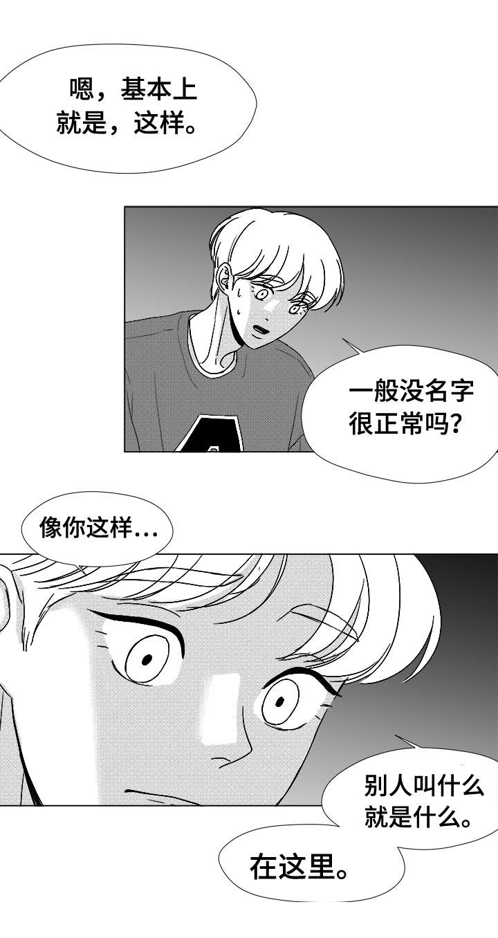 恶魔法则动漫免费观看全集完整版在线观看漫画,第41话4图