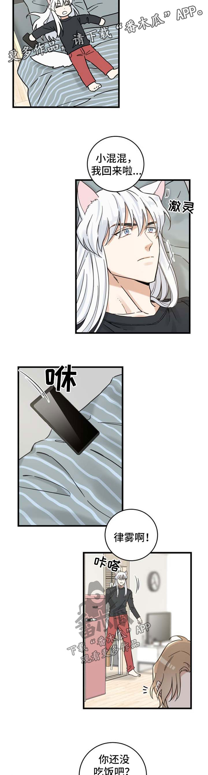 亲爱的喵君漫画免费番木瓜漫画,第90章：爱情事业双丰收3图