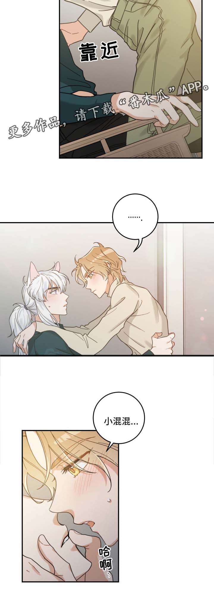 亲爱的喵君是韩漫吗漫画,第50章：肌肤相亲2图