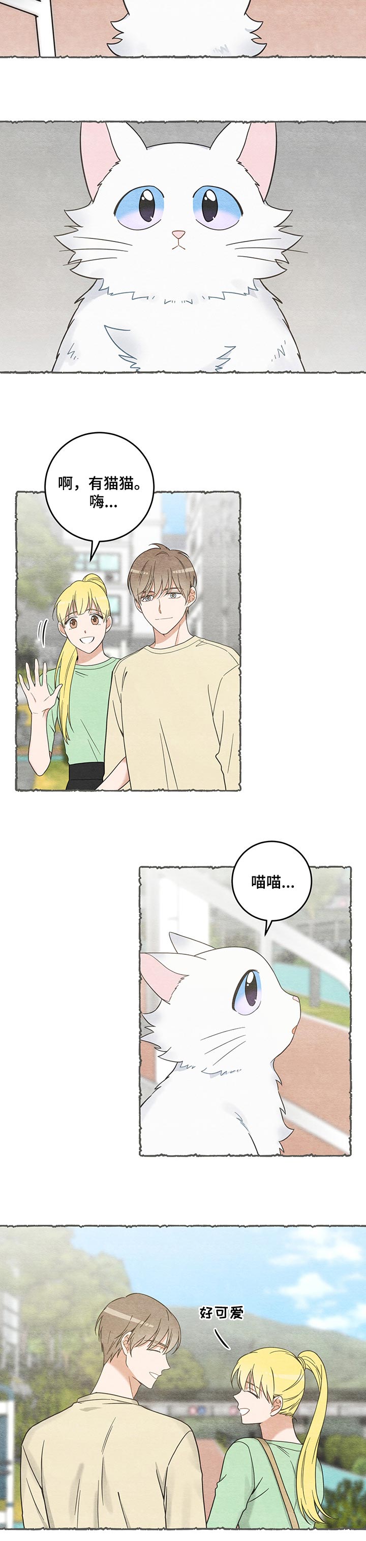 亲爱的喵君漫画全集漫画,第101章：失踪了4图