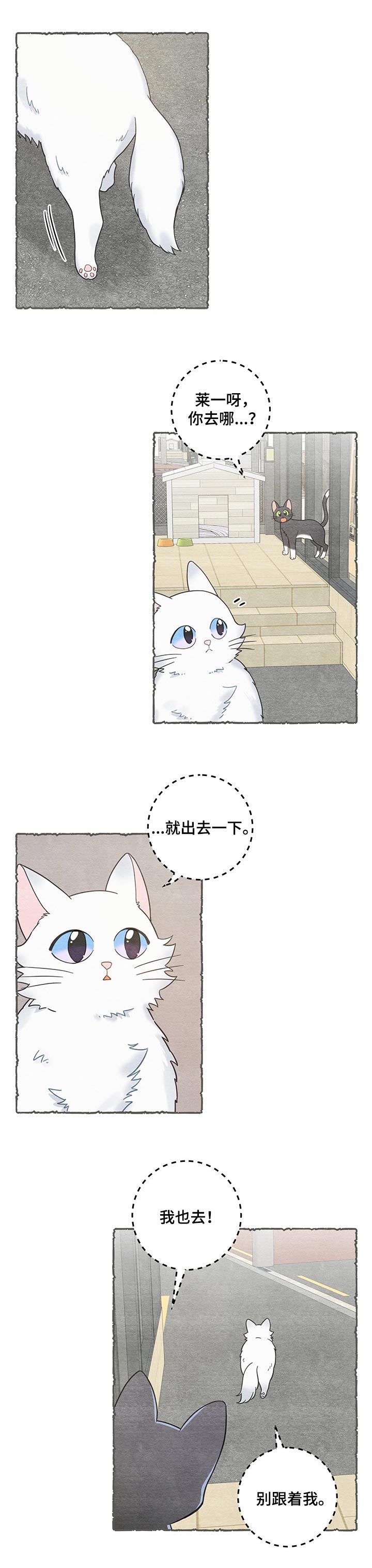 亲爱的喵君漫画全集漫画,第101章：失踪了1图