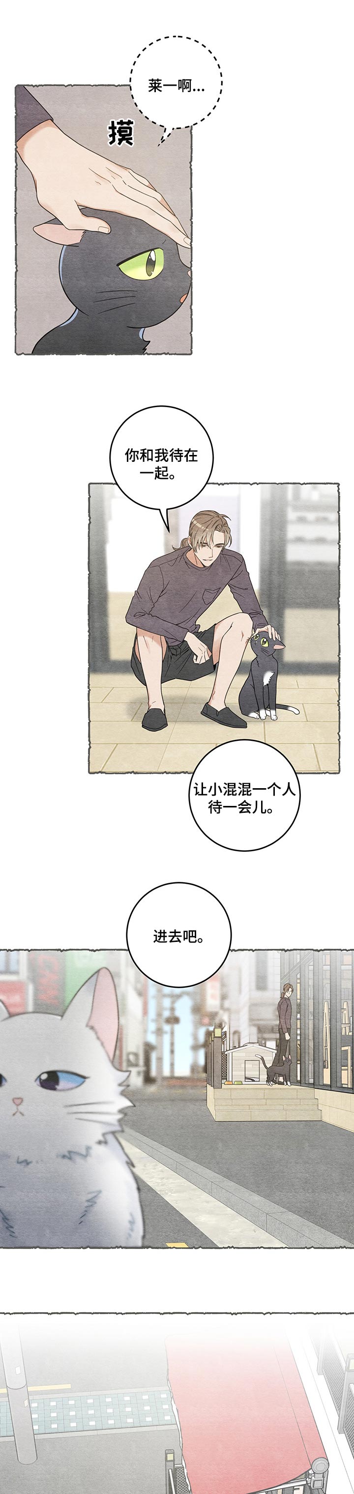 亲爱的喵君漫画全集漫画,第101章：失踪了2图