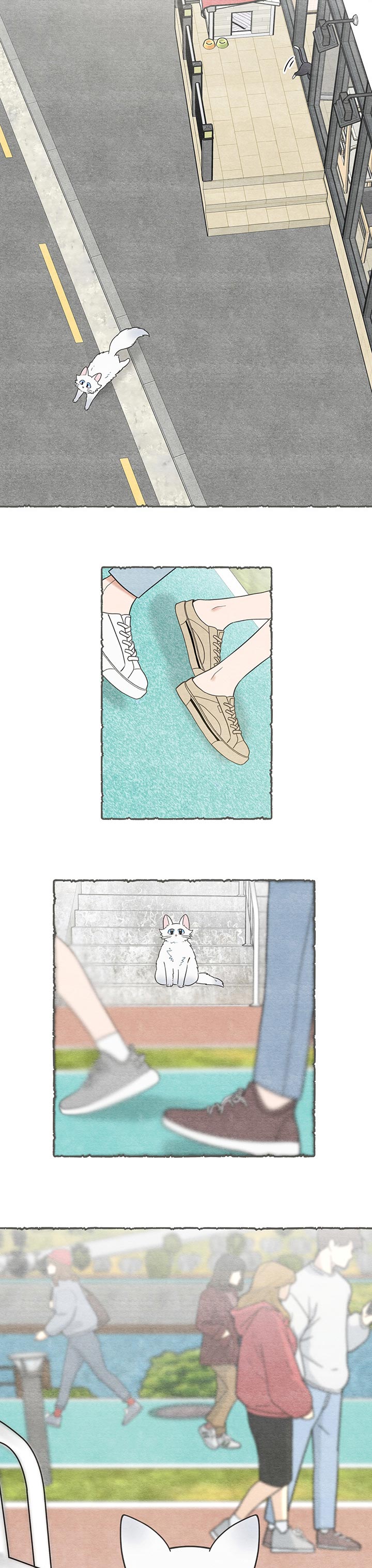 亲爱的喵君漫画全集漫画,第101章：失踪了3图