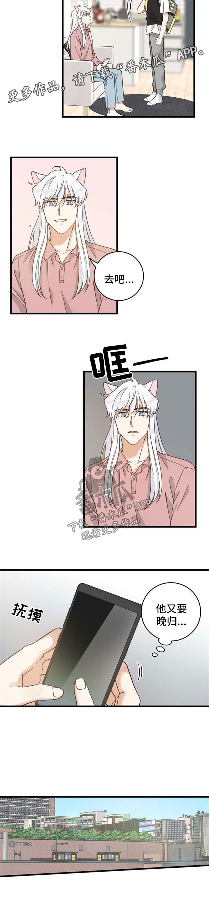 亲爱的喵君漫画下拉式漫画,第87章：像梦一样5图