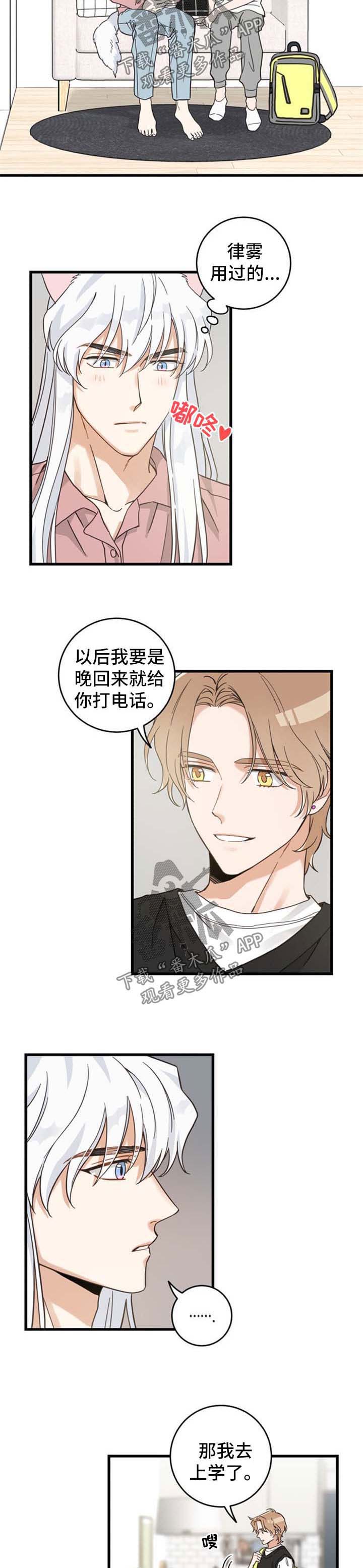 亲爱的喵君漫画下拉式漫画,第87章：像梦一样4图