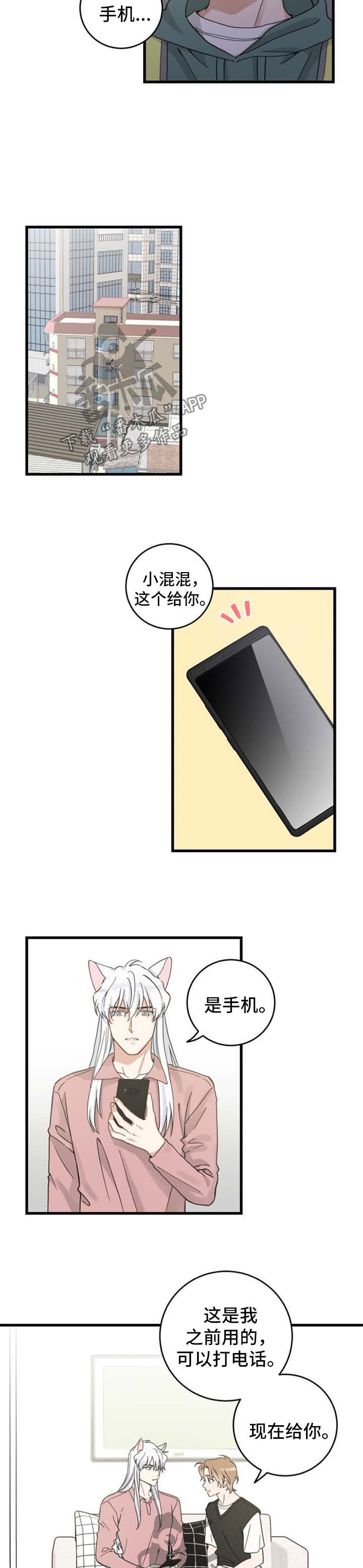 亲爱的喵君漫画下拉式漫画,第87章：像梦一样3图