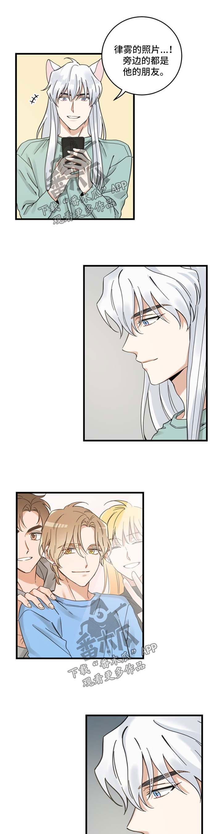 亲爱的喵先生弗朗明戈漫画,第91章：忧愁2图