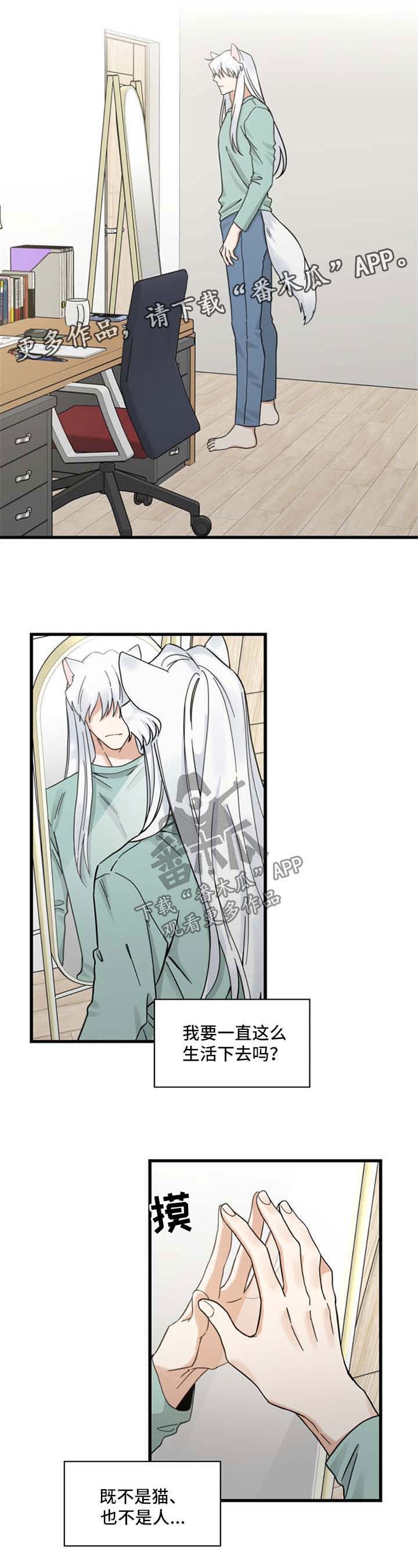 亲爱的喵先生弗朗明戈漫画,第91章：忧愁4图