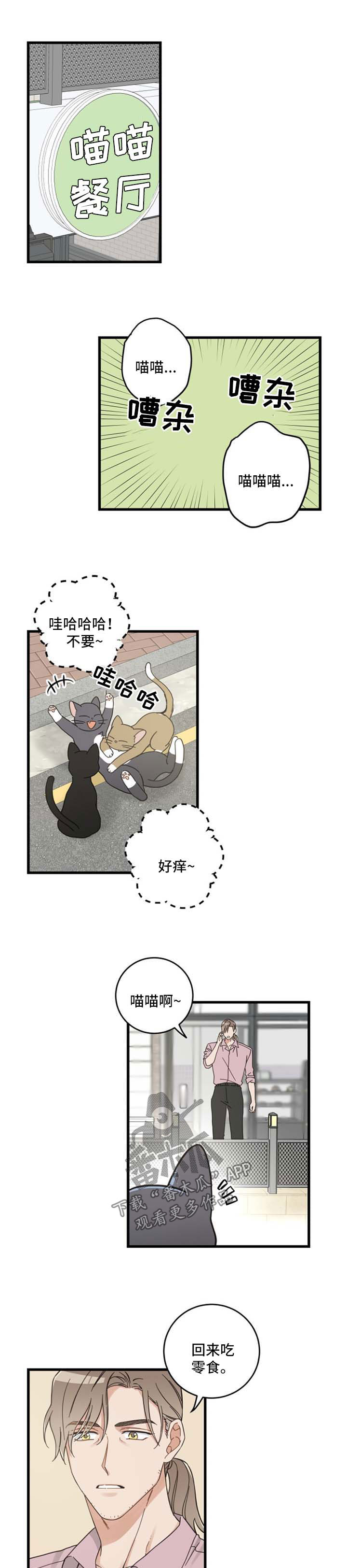 亲爱的喵先生弗朗明戈漫画,第91章：忧愁5图