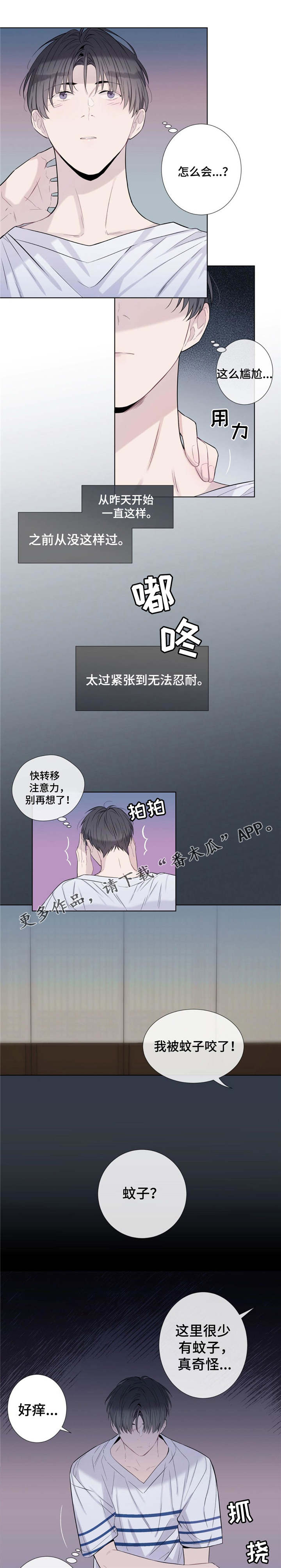 田园一方直播间漫画,第19章：毒蚊子5图