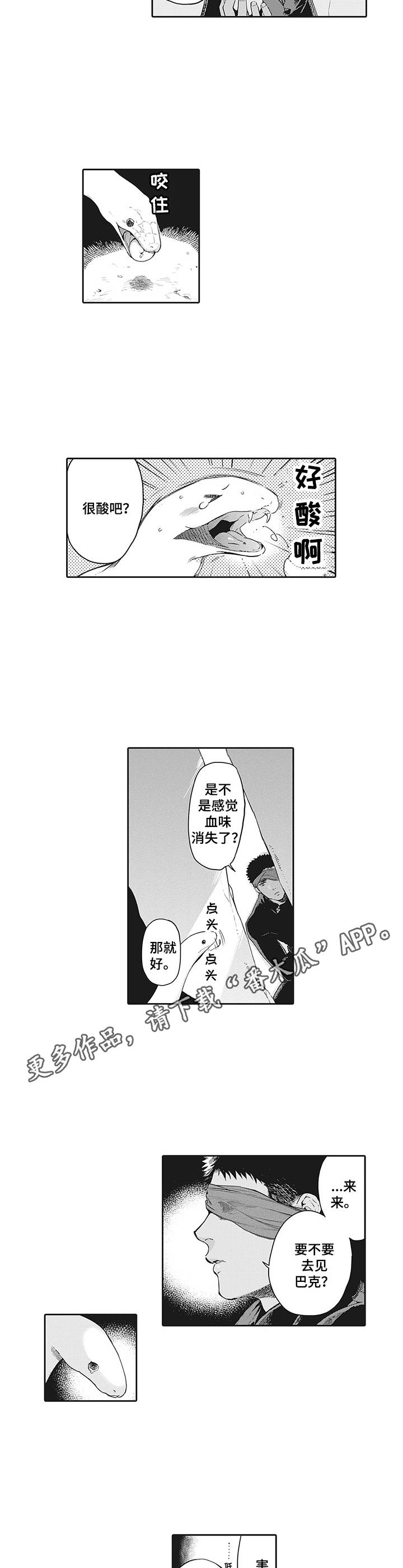 撒哈拉之眼在什么位置漫画,第19章：说服4图