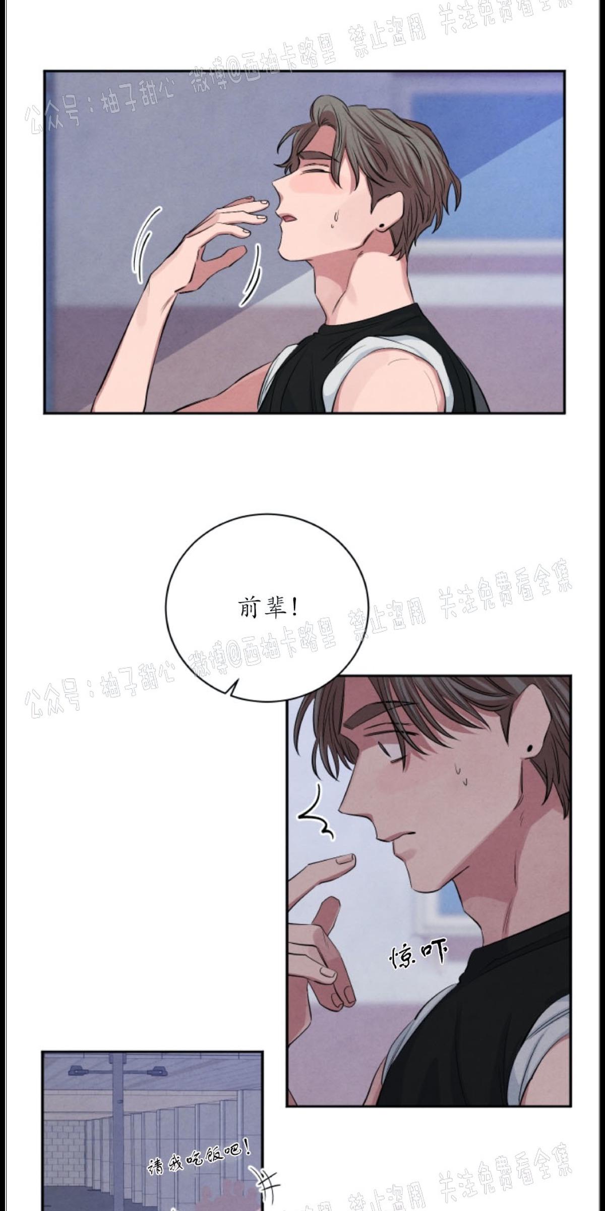 关于珊瑚的问题漫画,第38话3图