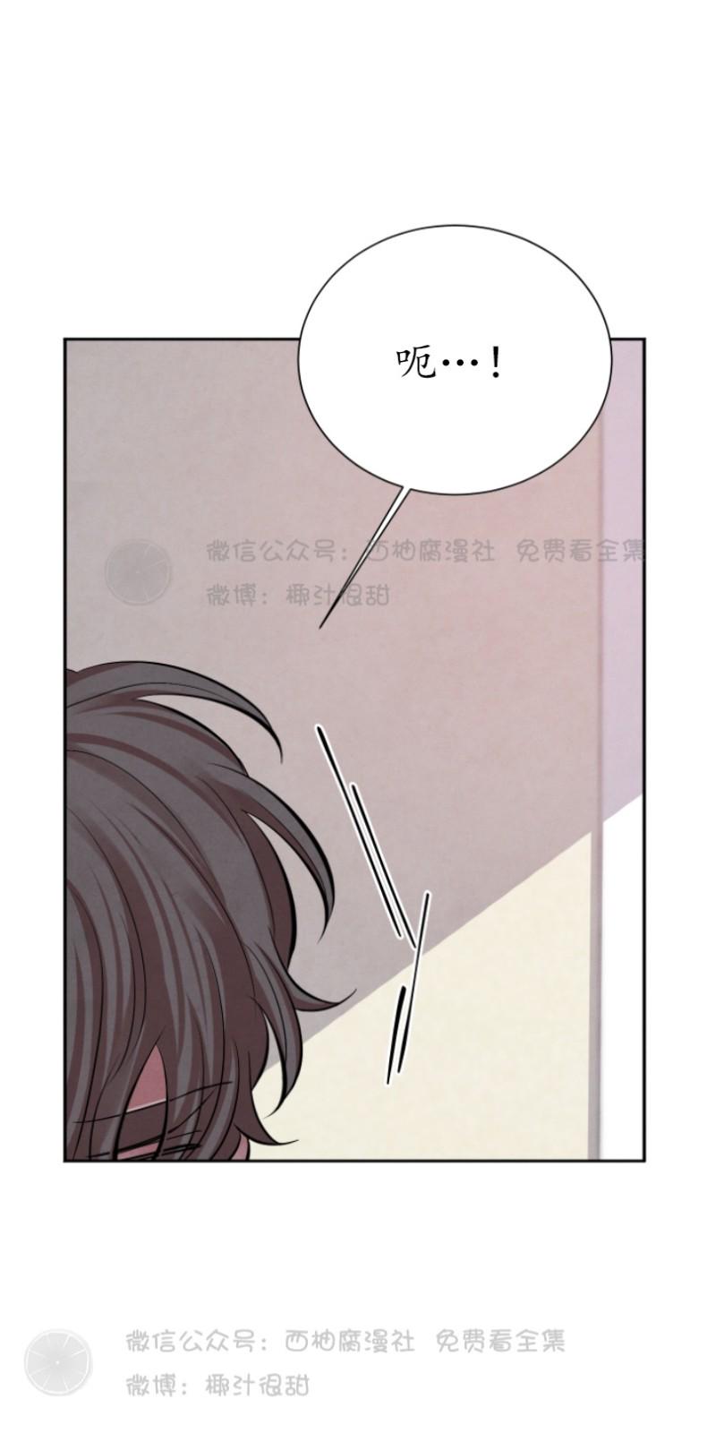珊瑚的不同姿态漫画,第11话1图