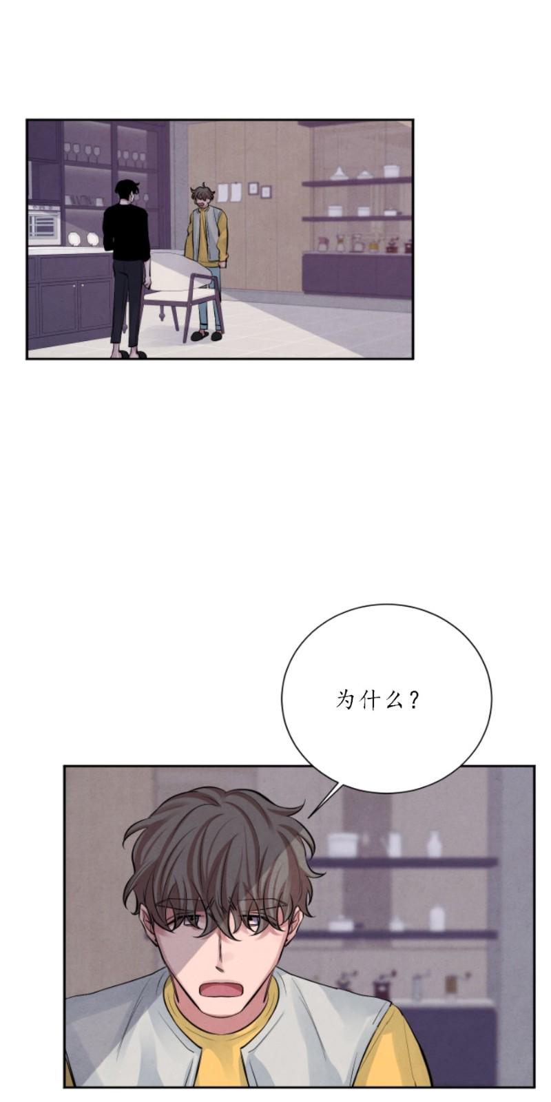 珊瑚开放的过程漫画,第8话4图