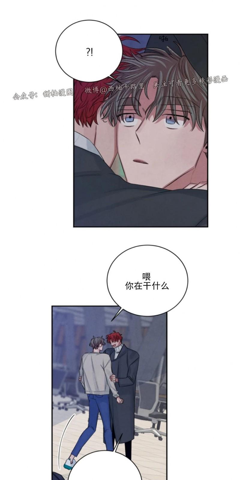 珊瑚的运用漫画,外传23图