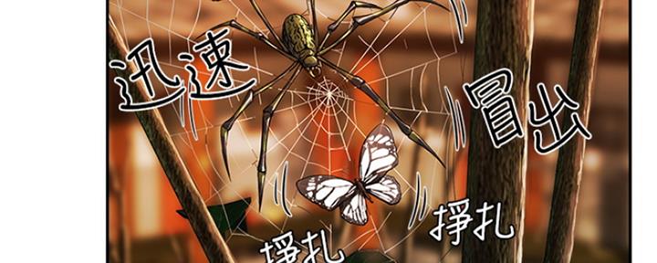 夏日深处漫画在线观看免费漫画,第10话5图