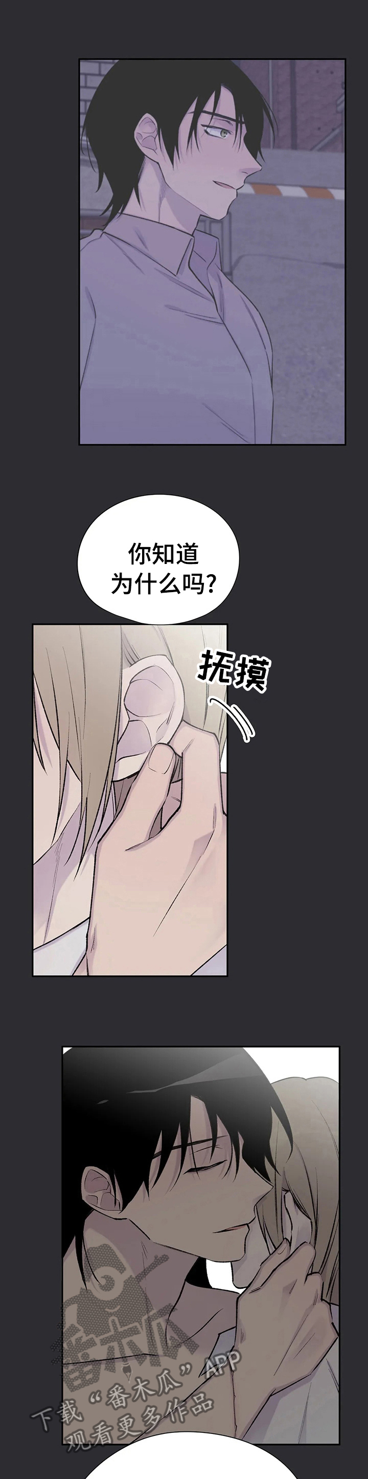 黑社会自传小说漫画,第83章： 已经不见了4图