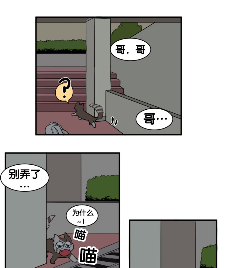 空巢来风是什么意思漫画,第9话1图