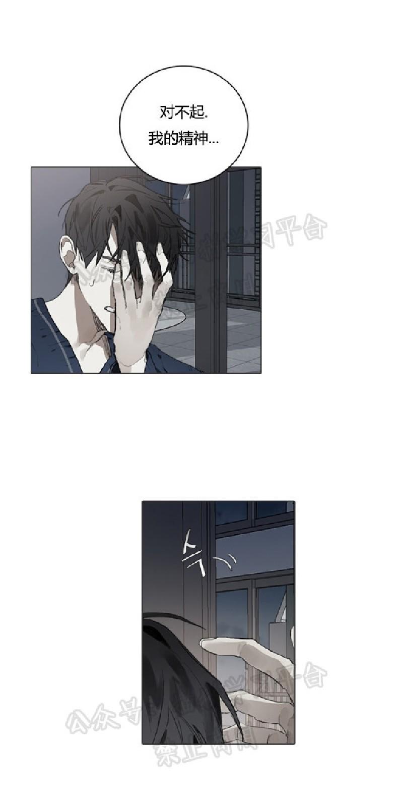 accorded怎么读漫画,第21话3图