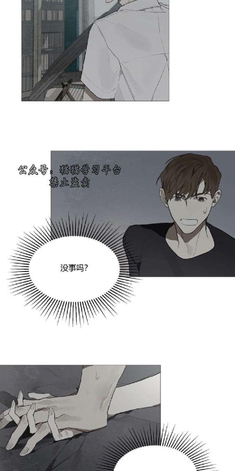 accorde怎么读漫画,第10话4图