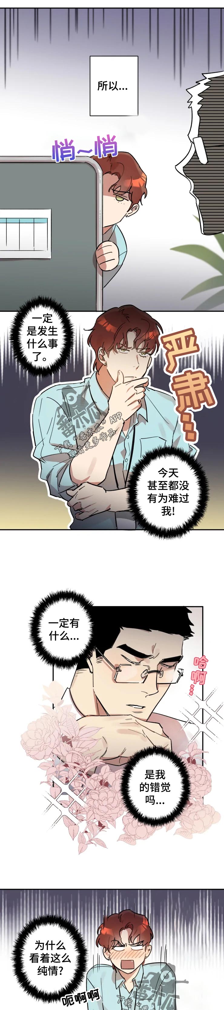 混蛋神风流完整版txt下载漫画,第19章：看着处理5图