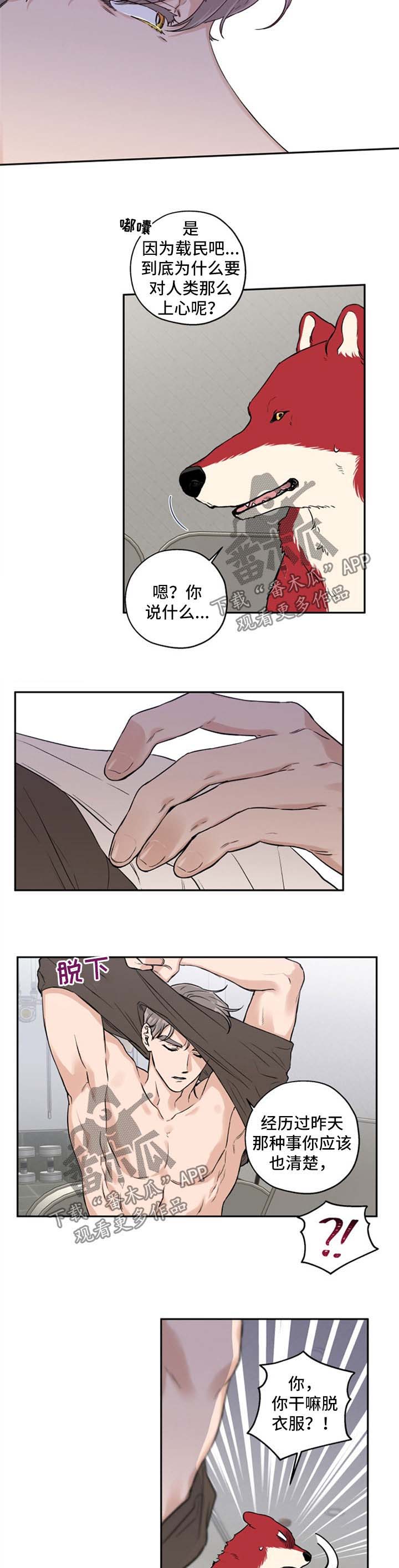 赤狼的视频漫画,第32章：不如我们俩试试5图