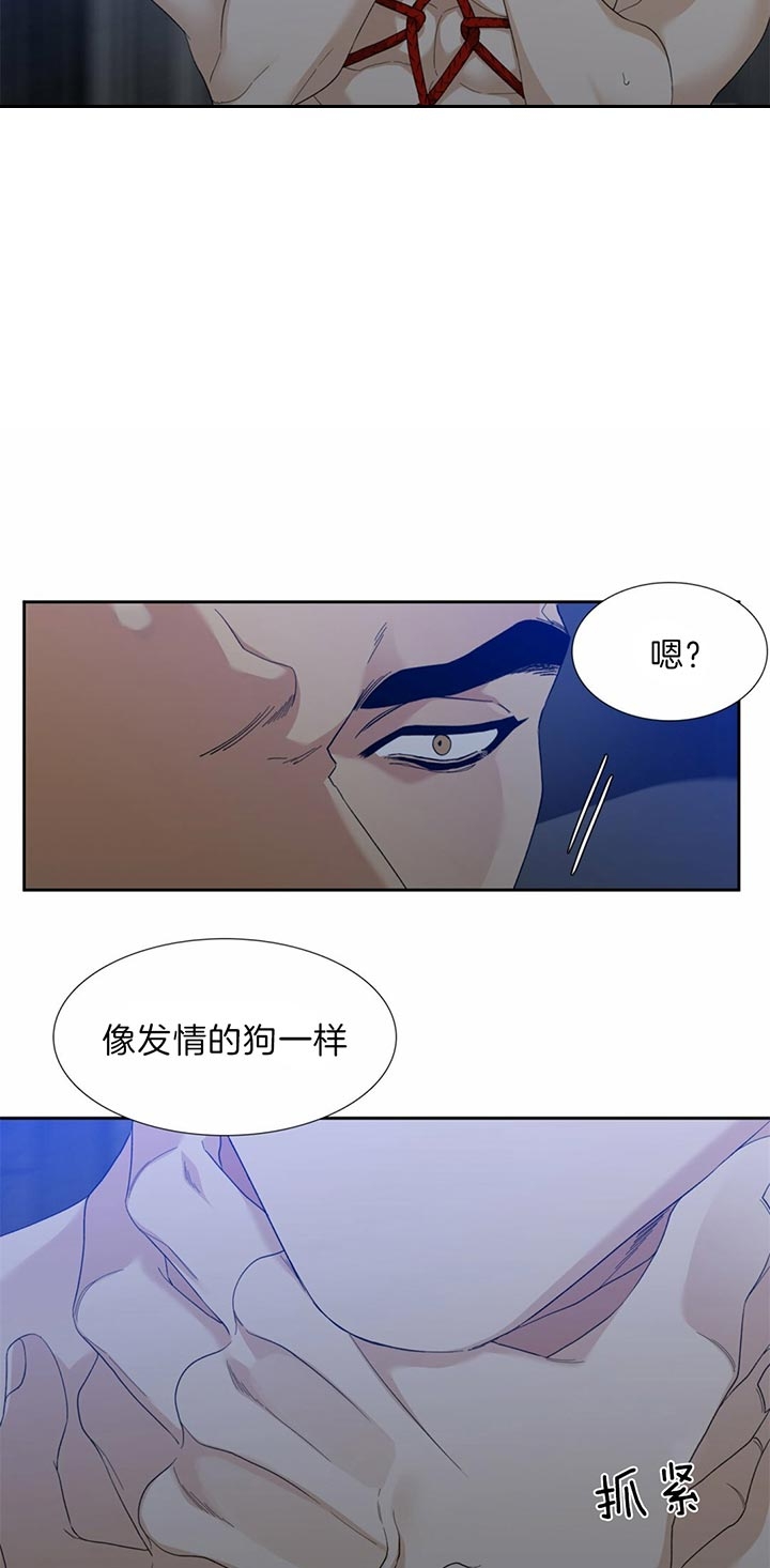 疯狗影视网漫画,第73话4图
