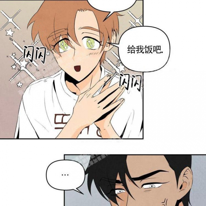 祝你好运里奥在线观看漫画,第11话3图