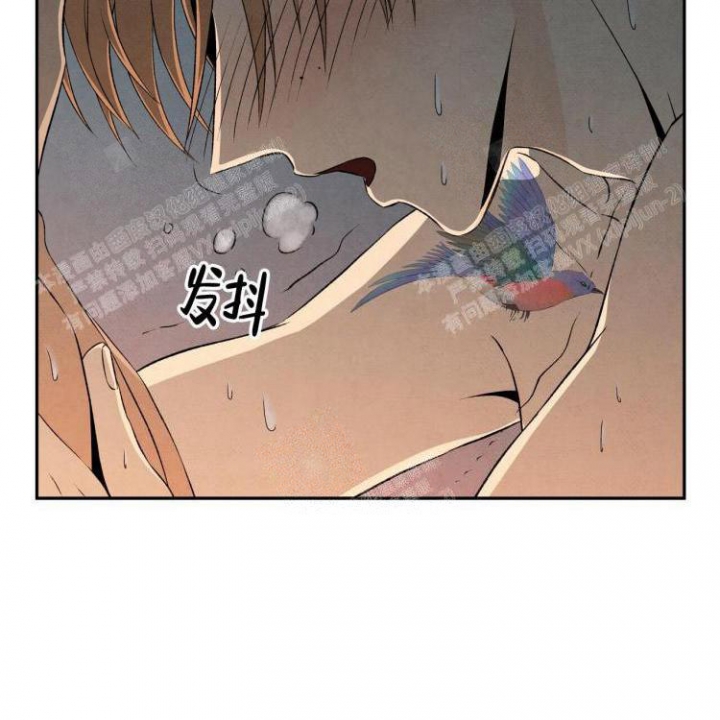 祝你好运背景图漫画,第33话2图