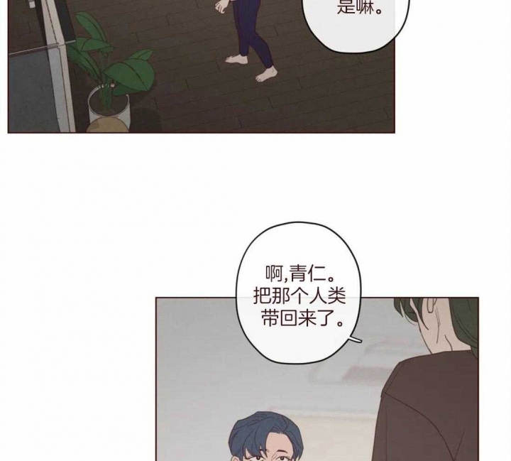 鬼怪bgm漫画,第120话4图