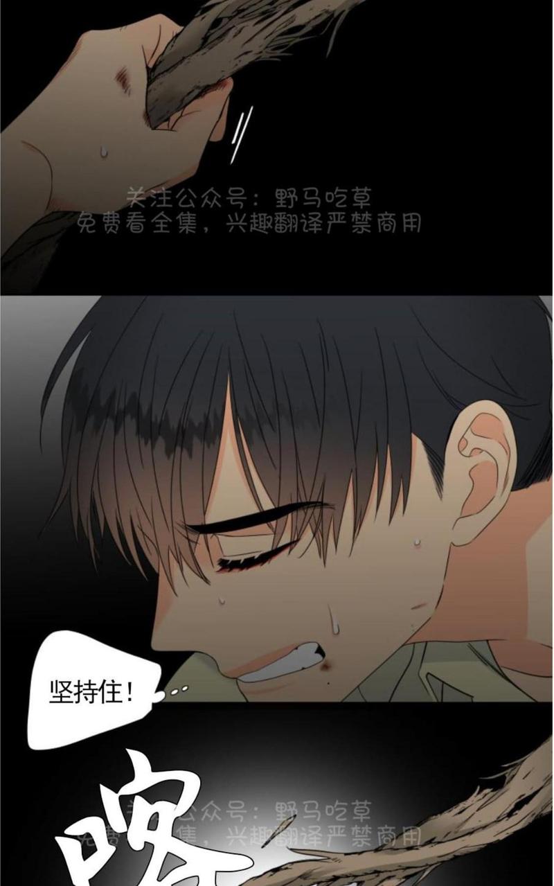 血缘纽带漫画哪里可以看漫画,第83话4图
