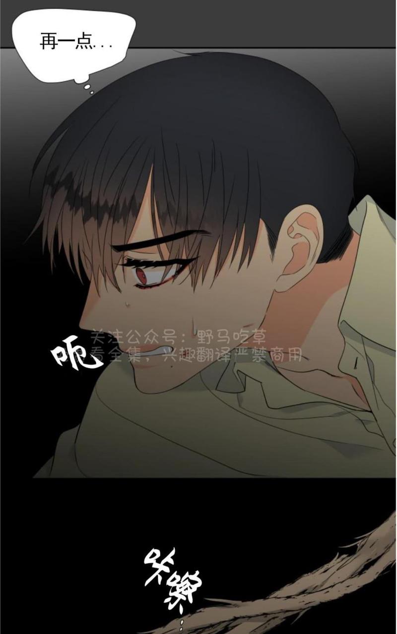 血缘纽带漫画哪里可以看漫画,第83话3图