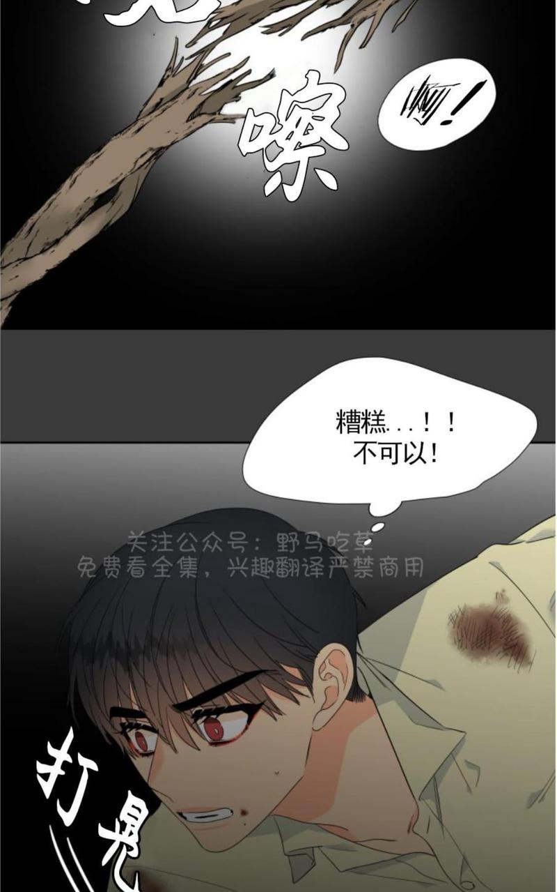 血缘纽带漫画哪里可以看漫画,第83话5图