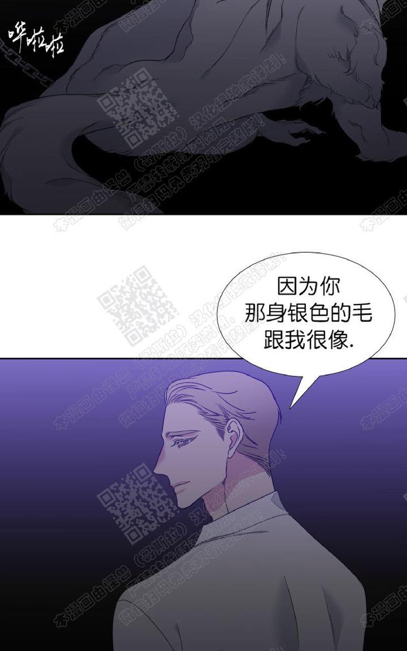 血缘关系的优美句子漫画,第102话2图