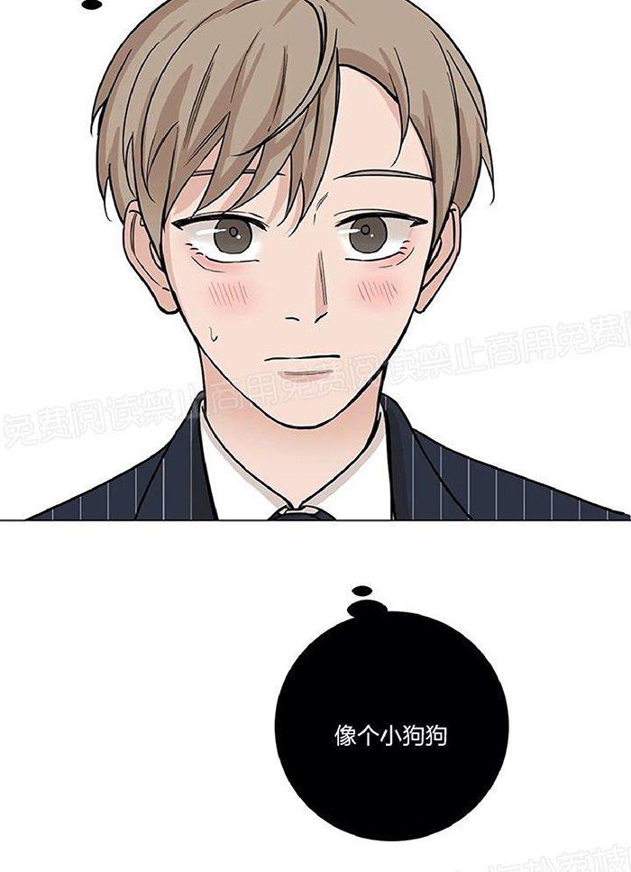 我的秀赫我的手下在线全文免费阅读笔趣阁漫画,第41话3图