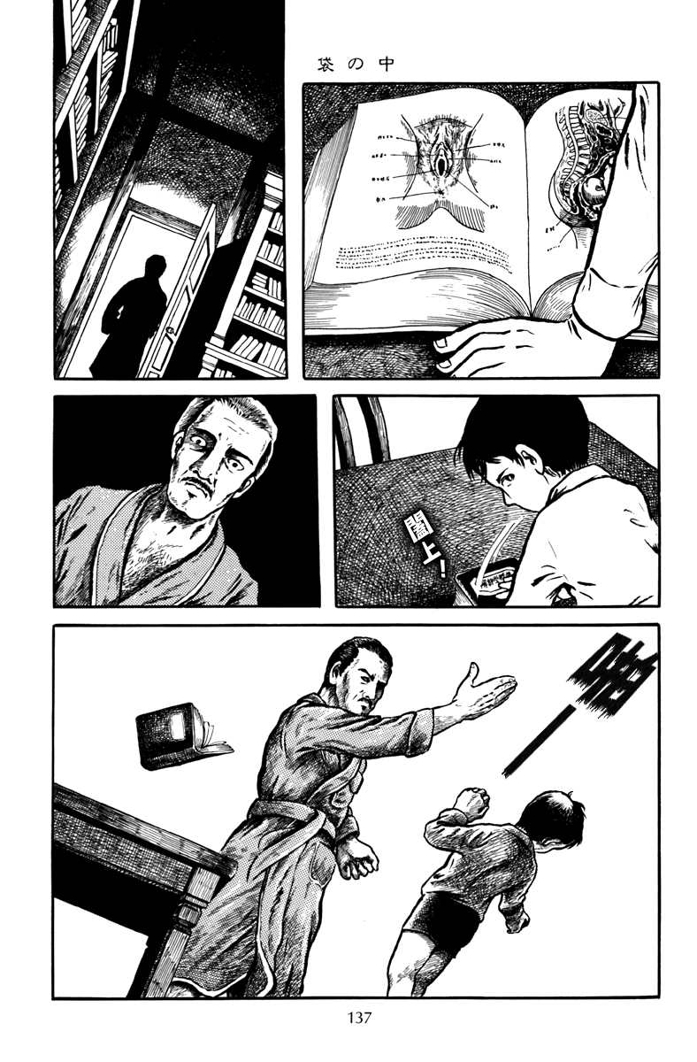 诸星大二郎作品海神纪漫画,袋中黑影5图
