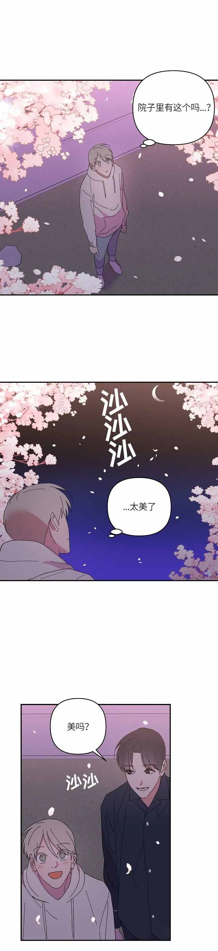 订婚对象是花美男在线阅读漫画,第66话4图