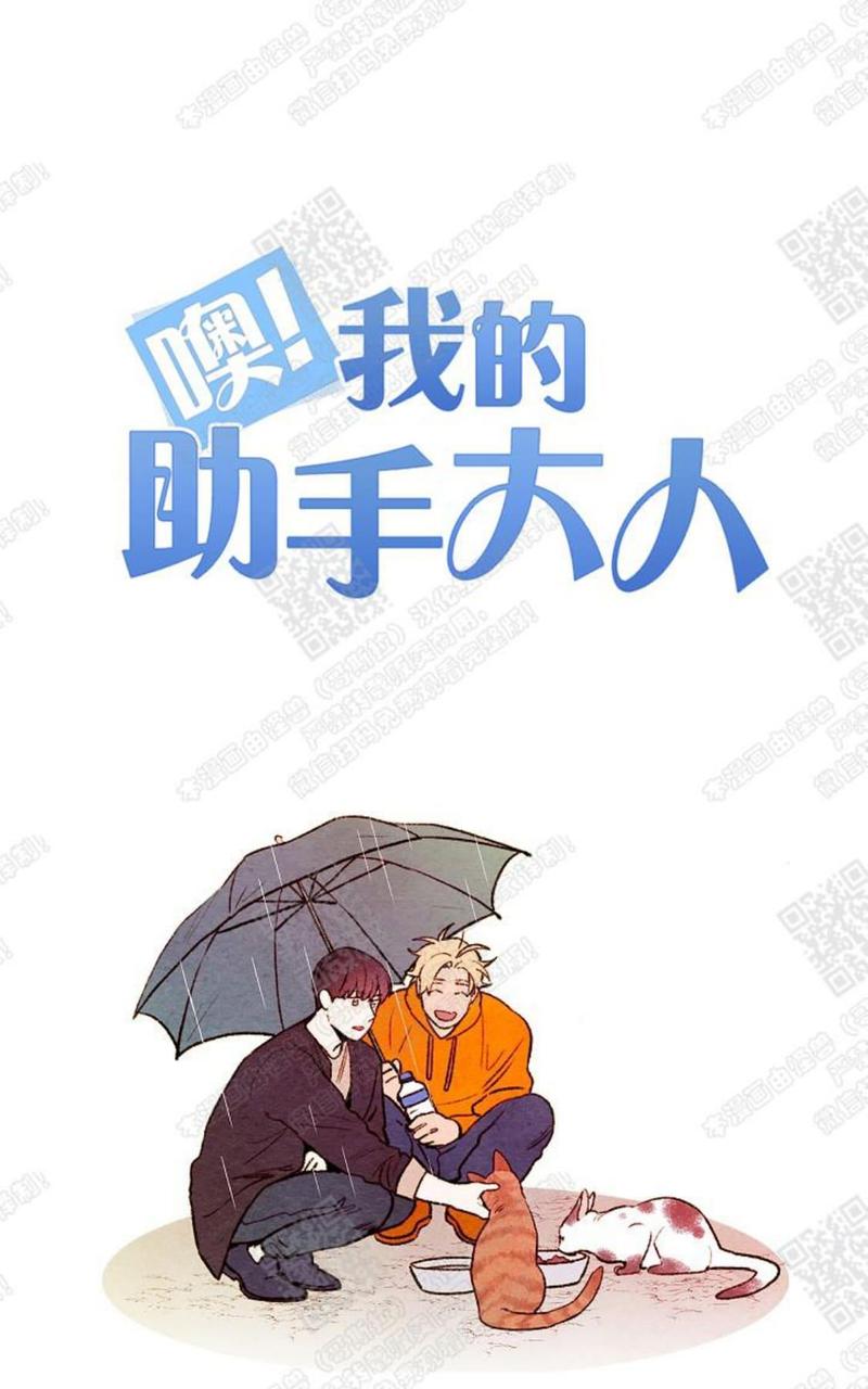 我的助手大人免费看漫画,后记1图